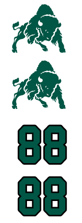 Bethany Bison Lacrosse