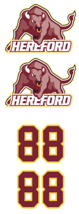 Hereford Lacrosse
